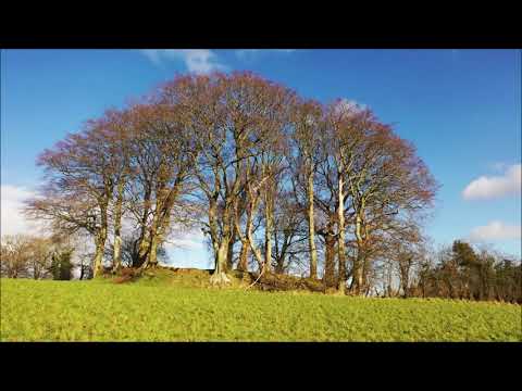 Maghera Fairy Ring - Feb 2021