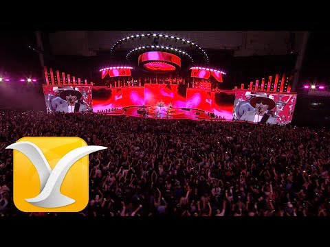 Morat - No Se Va - Salir Con Vida - Festival de la Canción de Viña del Mar 2025 - Full HD 1080p.