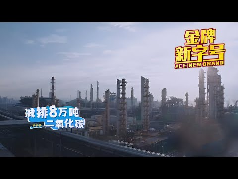 亚洲第一、世界第四！宁波回收餐饮废油相当于一年植5亿棵树！「金牌新字号」| 财经风云