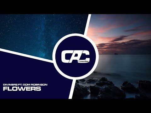 Diviners ft. Dom Robinson - Flowers