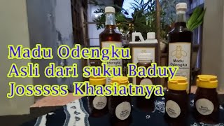Download lagu Madu Asli Suku Baduy || Madu Josss Berkhasiat mp3