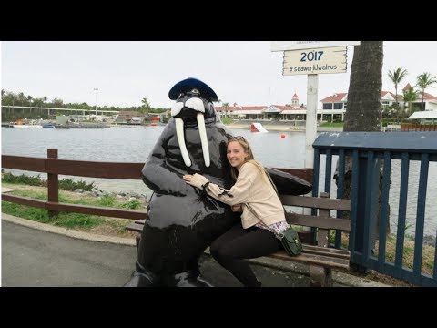 DAY 36 - SEA WORLD GOLD COAST VLOG | Road Trip Australia Travel VLOG
