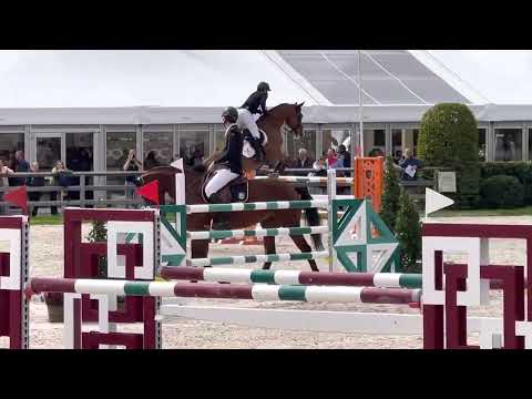 Casallbis 2016 Gelding (Casallco x Canabis Z) LANAKEN World Championship