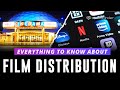 How Distribution In Film Works Film Distributors Explained Stages Of Filmmaking Ep 6