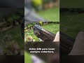 Ulefone Armor 33 PRO 5G