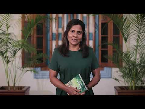 ނާއިލާގެ "ޒީނާރު" އަލުން ބަދިގެތަކަށް!