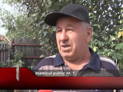 Inamicul public nr. 1