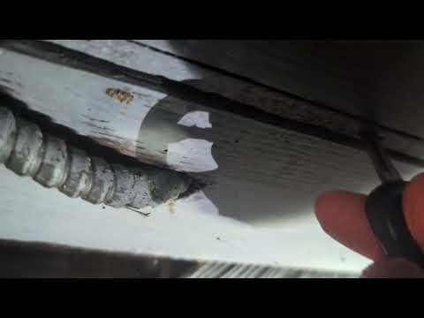 Basement Joists Damaged by Termites in Highland Park, NJ