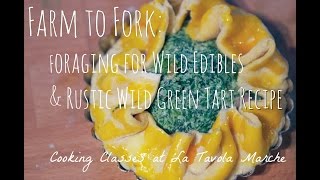 Farm to Fork Cooking Class in (Le Marche) Italy: Foraging for Wild Edibles & Rustic Tart Recipe