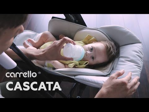 Стульчик-качалка для кормления мятный CARRELLO Cascata 10303/1 Tropical Green, бесплатная доставка - фото 1 - id-p1366150481
