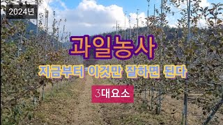 2024년 과일농사 지금부터 이것만 잘하면된다(3대요소)