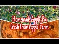 Homemade Apple Pie Fresh From Apple Farm