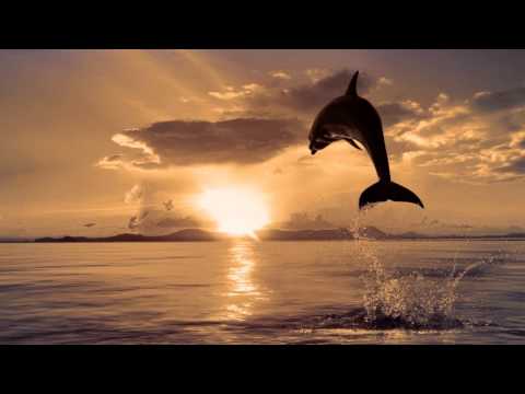 Andy Prinz feat. Kyara - Wide Open (JPL Remix) [HD]