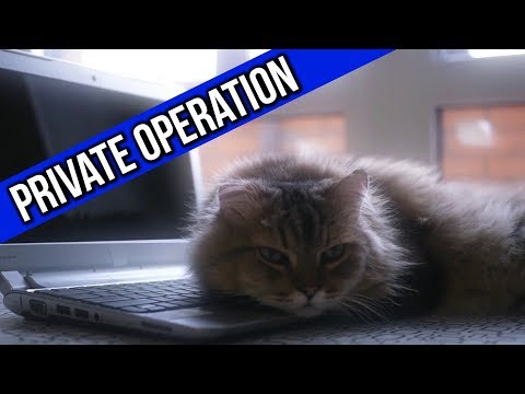 3CB ArmA 3: Cat-Tastrophe