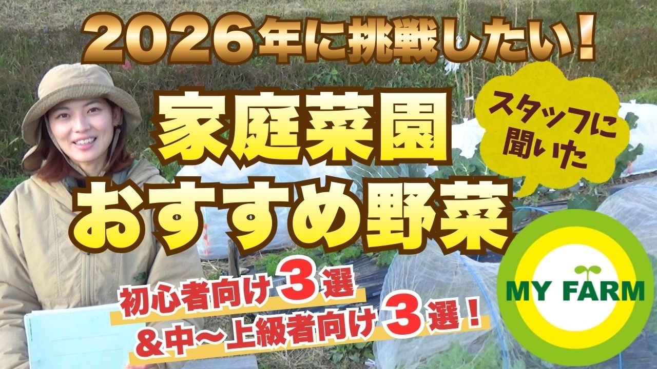 農園スタッフに聞きました！家庭菜園のおすすめ野菜３選＋３選＋おまけ│モリミサと学ぶ有機栽培