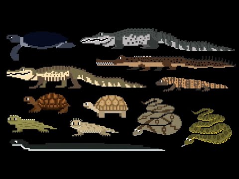 Reptiles 2 - @TheKidsPictureShow