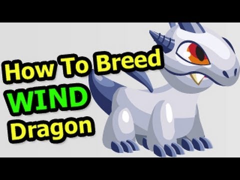 How to Breed WIND DRAGON in Dragon City with Soccer Dragons Guide