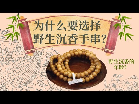 Wearing a wild agarwood bracelet not only extends your life by 10 years but also unlocks unbeatable health benefits! 💪🍀