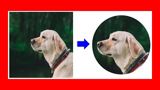 How To Crop a PICTURE into a Circle In Google Slides - [ QUICKY ]