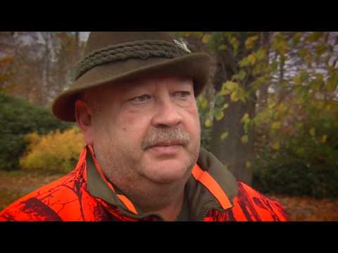 Jagdverband Sächsische Schweiz - Teil1