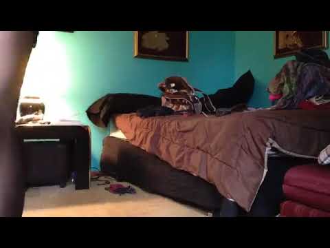 Смазливая девушка надевает на себя колготки