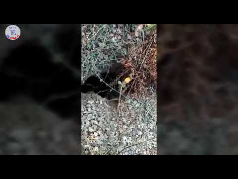 Taverne: buche ed escrementi nel percorso pedonale lungo il fiume Arbia
