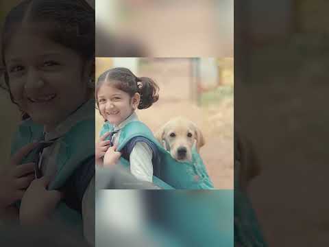 Ketika air mata seekor anjing mengubah hati seorang pria #shorts