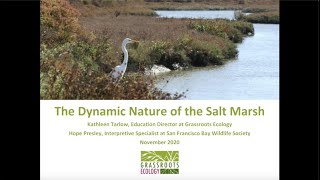 The Dynamic Nature of the Salt Marsh - Naturalist Talk