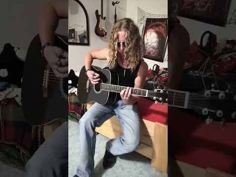 Aleš Brichta - Nechte Vlajky Vlát ????????‍☠️