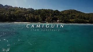preview picture of video 'Camiguin Clam Sanctuary'