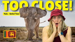 Travel vlog - WILD Elephant Got TOO CLOSE! ๐ (We Nearly Got STUCK in Yala)