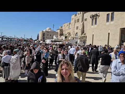 Hallel Songs Blessings 🙌 from Kohanim at the kotel Jerusalem