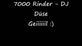 7000 Rinder - DJ Düse