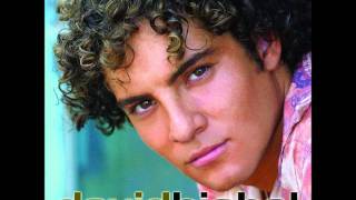 David Bisbal - Por ti.wmv