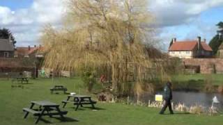 preview picture of video 'Amazing Peregrine at Minster Falconry Sutton Park'