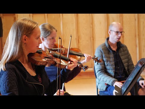 The Rape of Artemisia • Dudok Quartet • Residencies • Snape Maltings