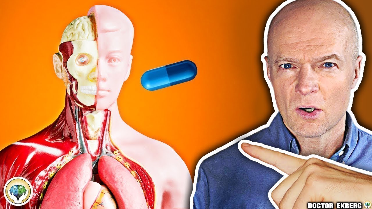 What REALLY Happens When You Take Medicine