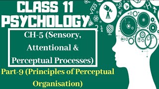 Class 11 Psychology NCERT Chapter-5 || Part-9 (Principles of Perceptual Organisation) || Text book