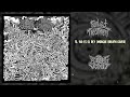 Failed Treatment Boiling Vomit Split FULL ALBUM 2022 Goregrind Grindcore