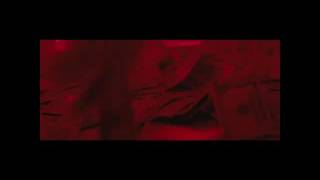 Kodak Black x Yo Gotti- Weatherman (Official Video)