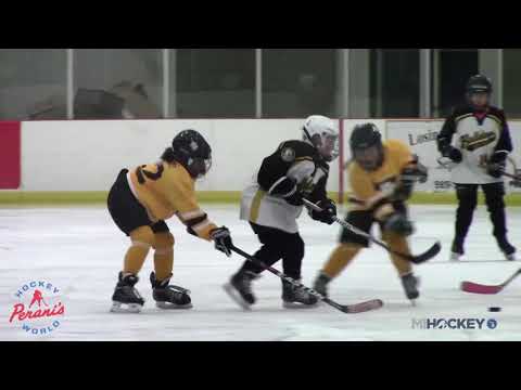 2018 MAHA Girls' 10U Tier 3 State Championship (HB Hockey vs. Grosse Pointe)