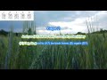 Back Home Again By John Denver Play Along With Scrolling Guitar Chords And Lyrics