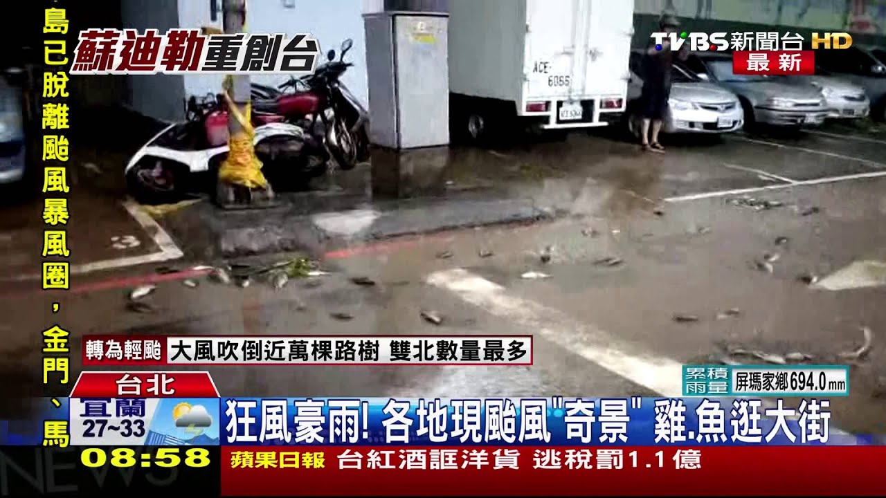 狂風豪雨!各地現颱風「奇景」 雞、魚逛大街