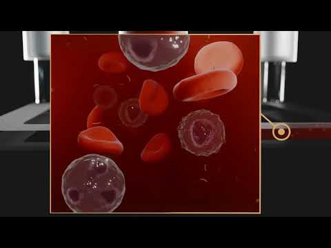 CellFace Introduction (Extended)