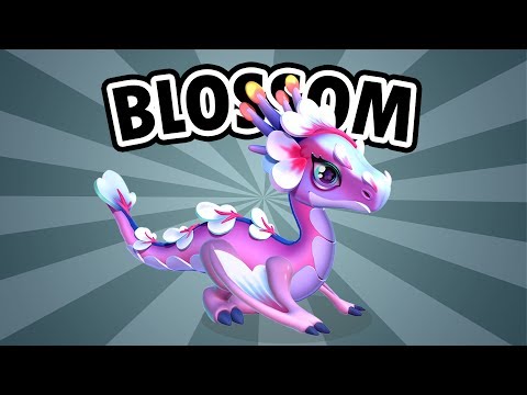 How to bree BLOSSOM - Dragon Mania Legends