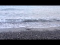 Enrico Ruggeri, Il mare d'inverno. Enrico Pesce ...
