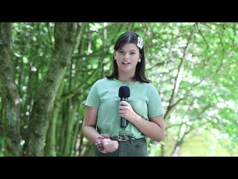 Buletin Meteo din Tabara TV - Diana Mandu