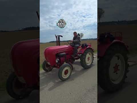 Fendt Dieselross & Gt and more 🎩🚜