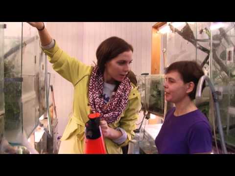 ZB 4ser - PROFESIJA ZOO darbinieks