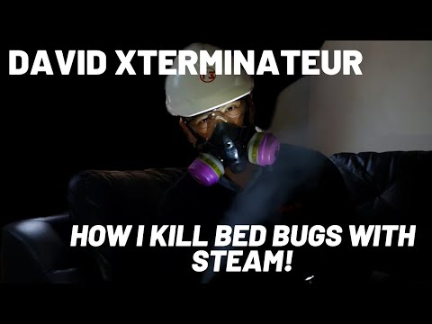 T3 CIRCLE EXTERMINATION video.